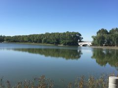 -大兴滨河森林公园