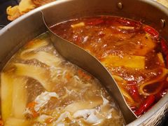 -菌子鲜汤野生菌锅