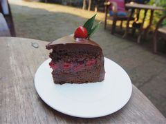 -Fern Forest Cafe