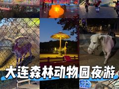 -大连森林动物园