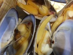 锡纸黄蚬子-丹东特色烤肉(南光三部店)