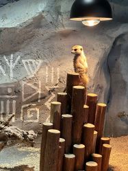 -Zoolung Zoolung动物主题公园(海信广场店)