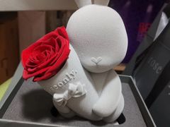 -ROSEONLY诺誓(广州K11店)