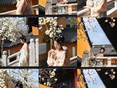 -灵谷景区