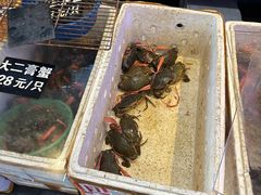 -莲花公园煎蟹(总店)