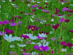 -北沙滩(地铁站)