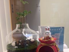 -齐玉齿科JADENTAL