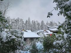 -武定门公园