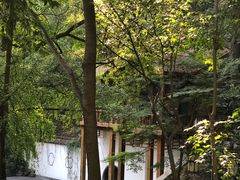 -伯先公园