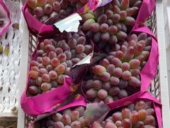 -马陆小张葡萄园农家乐