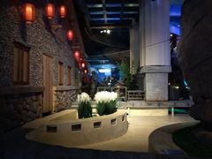 -华夏文旅海洋公园