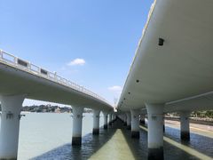 -演武大桥观景平台