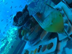 -亚特兰蒂斯•OSSIANO奥西亚诺海底餐厅