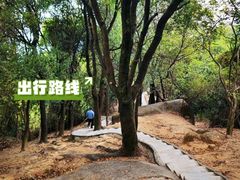 -火炉山森林公园