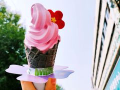 -麦当劳(花园北路店)