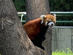 -石家庄市动物园