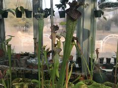 -国家植物园南园