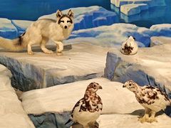 -陕西自然博物馆