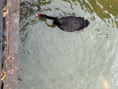 -珠海圆明新园