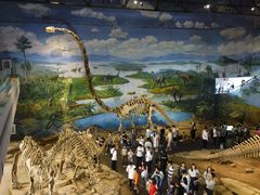 -自贡恐龙博物馆