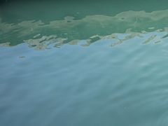 -广东惠东海龟国家级自然保护区