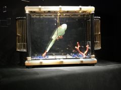 -上海当代艺术博物馆
