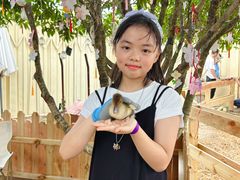 -HERRE·FARM 赫尔露营农场·团建聚会包场