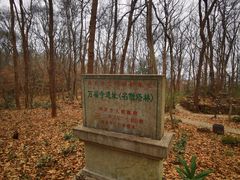 -紫金山索道-售票处