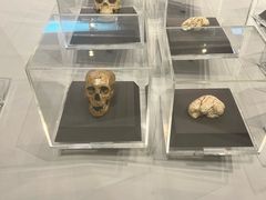 -北京周口店北京人遗址博物馆