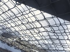 -横道河子东北虎林园