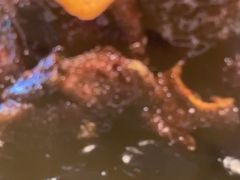 -海立阁海鲜江浙菜(漕河泾印象城店)