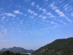 -广州市流溪河国家森林公园