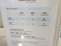 -龙阳路磁悬浮列车总站-停车场