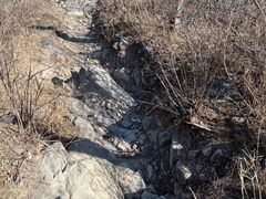 -北京西山国家森林公园