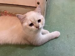 -藦茜花园宠物主题亲子互动体验馆(国顺东路店)
