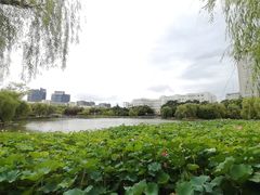 -南京航空航天大学(将军路校区)