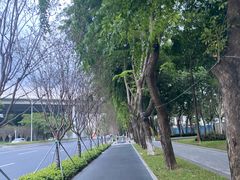 -百威年二手车市场(龙井路店)