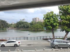 -OLD TREE老树咖啡·西餐厅(台山人工湖店)