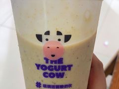 -一只酸奶牛(兰州中心店)