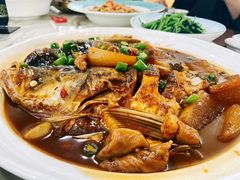 -张鸟园农家乐(张鸟园店)