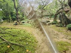 -云南勐巴娜西珍奇园