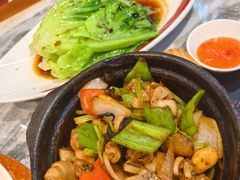 -广东大排档(国奥店)