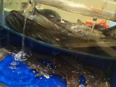 -海景壹号大酒店(滨湖店)