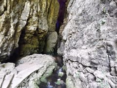 -华蓥山天意谷景区