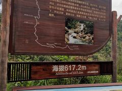 -海南热带雨林国家公园吊罗山景区