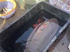 -红星码头