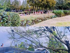 -蜀绣公园