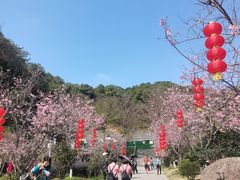 -广州市帽峰山景区