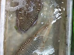 -大众海鲜加工大排档(金海湾大道店)