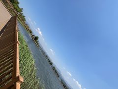 -洱海月湿地公园